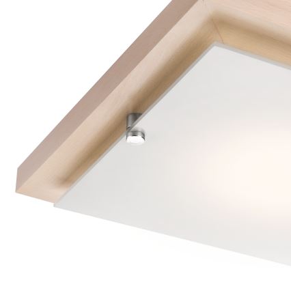 Griestu lampa 1xE27/60W/230V dižskābardis - FSC sertificēts