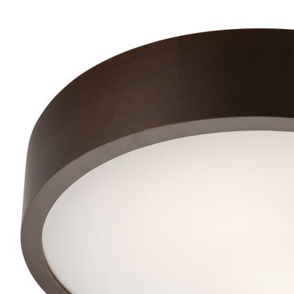 Griestu lampa 2xE27/60W/230V priede