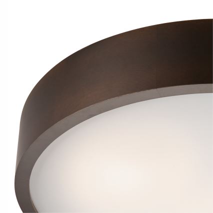 Griestu lampa 3xE27/60W/230V priede