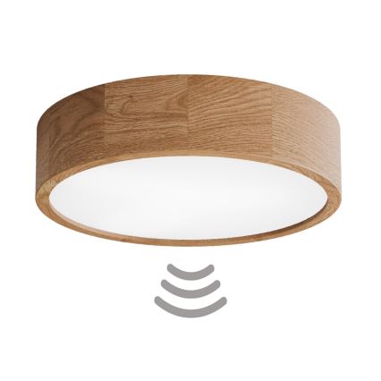 Griestu lampa ar kustības sensoru CLEO, 3 × E27, 24 W, 230 V, Ø 37,5 cm, ozols