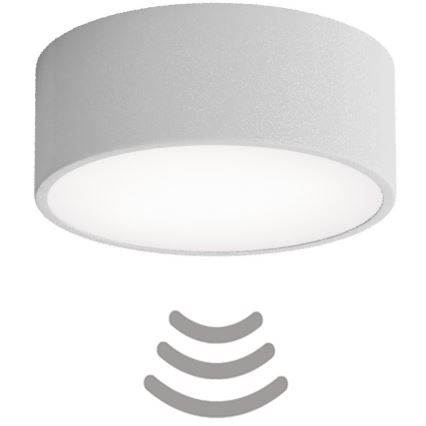 Griestu lampa ar sensoru CLEO 1xE27/40W/230V d. 20 cm pelēka