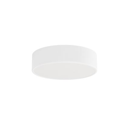 Griestu lampa CLEO ar kustības un krēslas sensoru, 2x E27, 24 W, 230 V, Ø 30 cm, balta