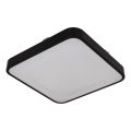 Griestu lampa ar sensoru WILTON, 2x E27/60W/230V, 33x33 cm, melna