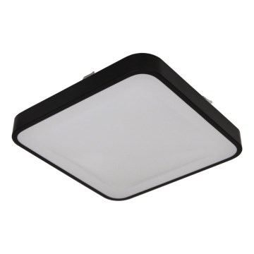Griestu lampa ar sensoru WILTON, 2x E27/60W/230V, 33x33 cm, melna