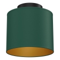 Griestu lampa ARDEN 1xE27/15W/230V Ø 18 cm zaļa