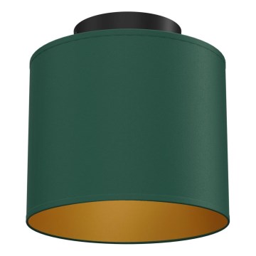 Griestu lampa ARDEN 1xE27/15W/230V Ø 18 cm zaļa