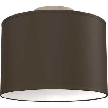 Griestu lampa ARDEN 1xE27/15W/230V Ø 25 cm melna