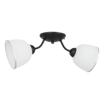 Griestu lampa AVIA 2xE27/60W/230V