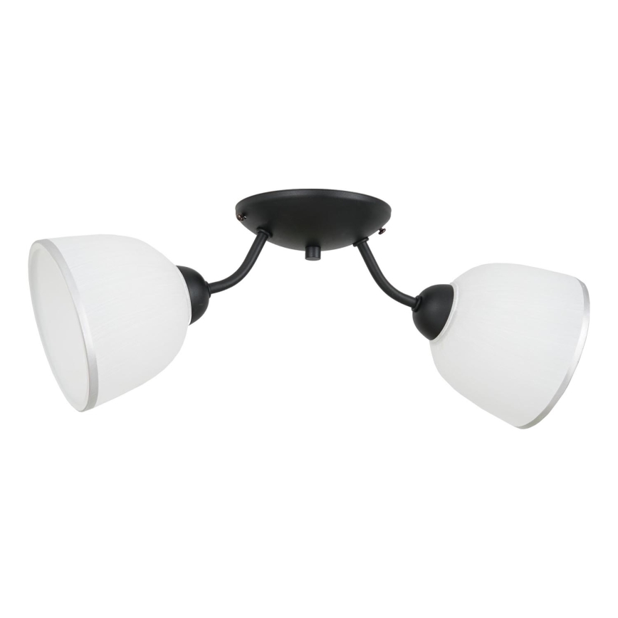 Griestu lampa AVIA 2xE27/60W/230V