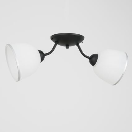 Griestu lampa AVIA 2xE27/60W/230V