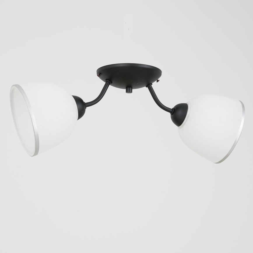 Griestu lampa AVIA 2xE27/60W/230V
