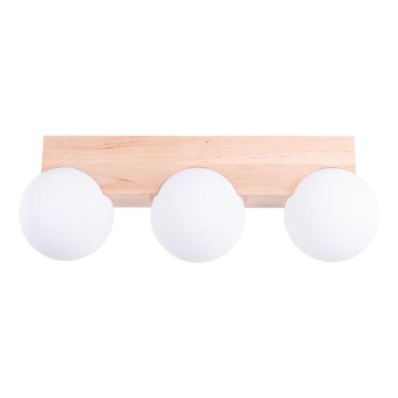 Griestu lampa BULBO 3xG9/8W/230V dižskābardis/balta