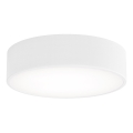 Griestu lampa CLEO ar kustības un krēslas sensoru, 2x E27, 24 W, 230 V, Ø 30 cm, balta