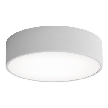 Griestu lampa CLEO ar kustības un krēslas sensoru, 2xE27/24W/230V, Ø 30 cm, pelēka
