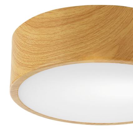 Griestu lampa DANTE 1xE27/60W/230V d. 26 cm