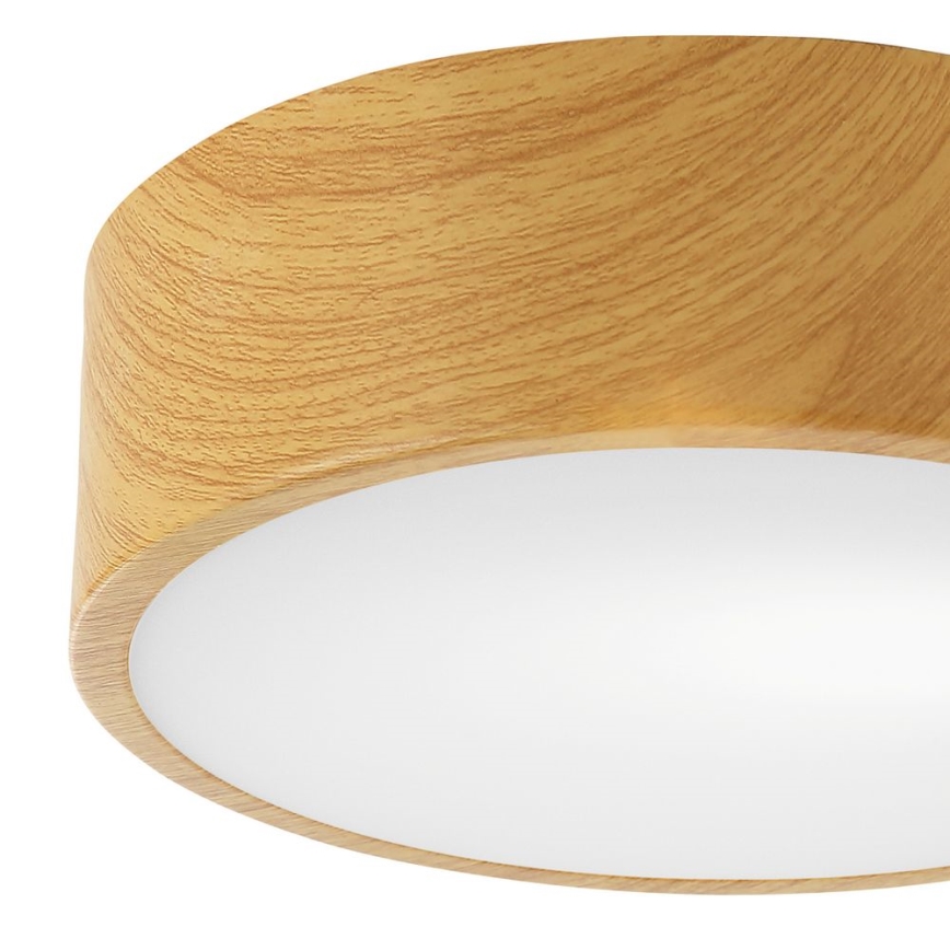 Griestu lampa DANTE 1xE27/60W/230V d. 26 cm