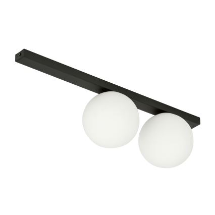 Griestu lampa FIT 2xE14/10W/230V melna/balta