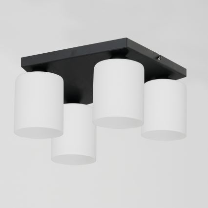 Griestu lampa FORT 4xE27/60W/230V