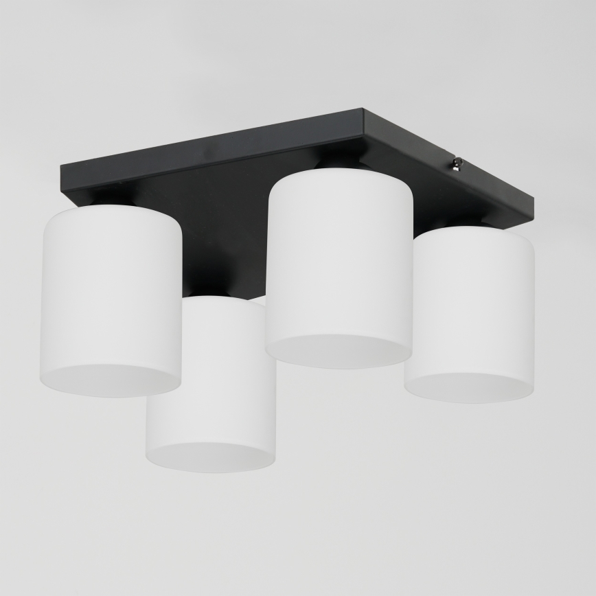 Griestu lampa FORT 4xE27/60W/230V