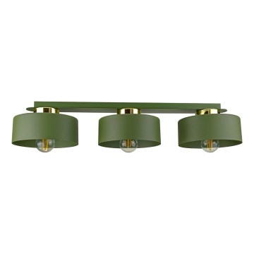 Griestu lampa IGNIA 3xE27/60W/230V zaļa