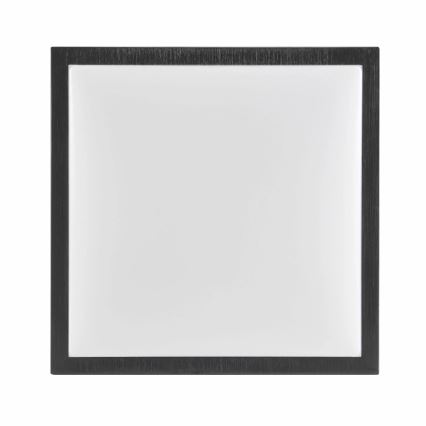 Griestu lampa KAZIMIERZ 2xE27/20W/230V 29,5x29,5 cm melna