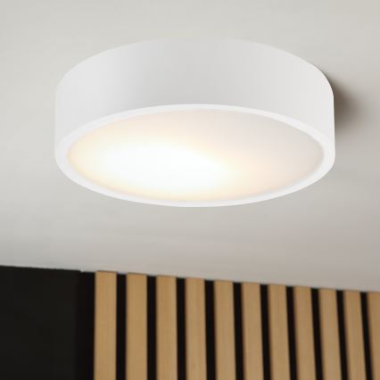Griestu lampa NATURAL 1xE27/15W/230V Ø 27,5 cm priede/balta