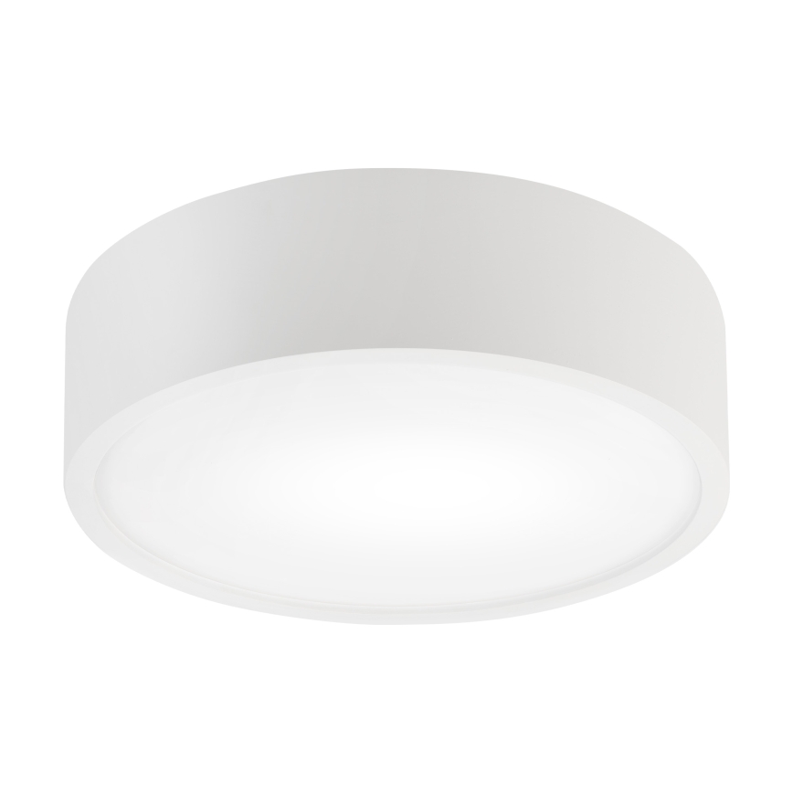 Griestu lampa NATURAL 1xE27/15W/230V Ø 27,5 cm priede/balta