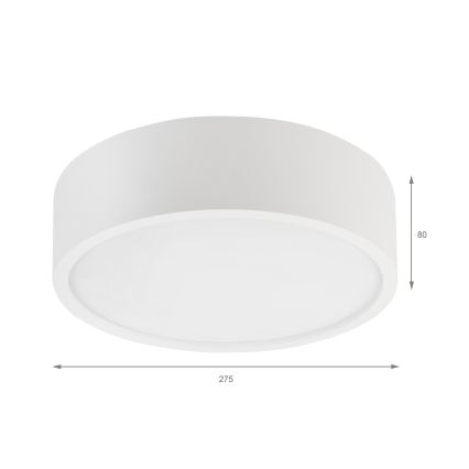 Griestu lampa NATURAL 1xE27/15W/230V Ø 27,5 cm priede/balta
