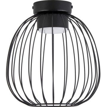 Griestu lampa OVELLA 1xGX53/10W/230V Ø 25 cm melna