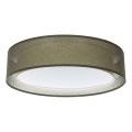 Griestu lampa PURO 2xE27/40W/230V Ø 50 cm zaļa