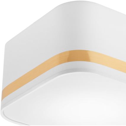 Griestu lampa SIRJA SQUARE STRIPE 2xE27/15W/230V balta/zelta