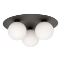 Griestu lampa SOLAR 3xE14/10W/230V melna/balta