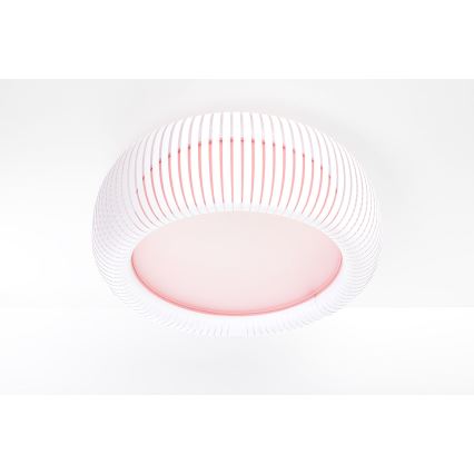 Griestu lampa STRIPES 2xE27/40W/230V Ø 55 cm balta/rozā