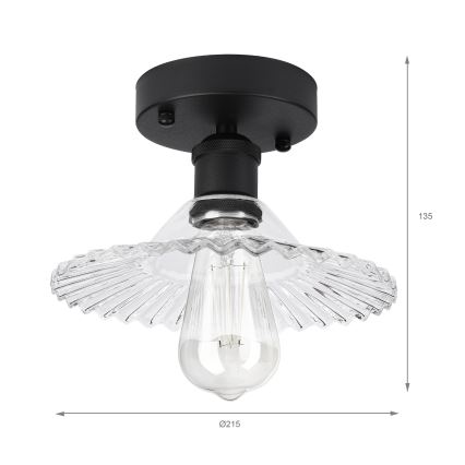 Griestu lampa TRISH virsmas montāžai 1xE27/15W/230V melna/caurspīdīga