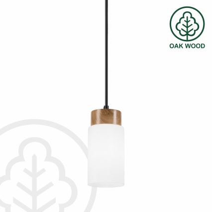 Griestu lampa uz stieples MARKUS 1xE27/15W/230V melns/ozols