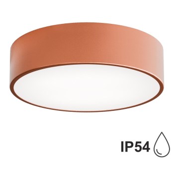 Griestu lampa vannas istabai CLEO ar sensoru, 2xE27/24W/230V, Ø 30 cm, vara krāsas, IP54