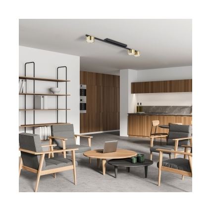 Griestu spotgaismeklis LOGAN 3xGU10/10W/230V melns/zelts