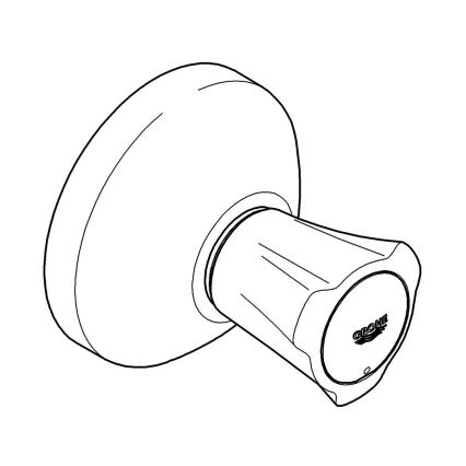 GROHE 19809001 - COSTA L iebūvējama vārsta augšējā daļa, spīdīgs hroms