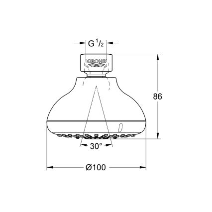 GROHE 27606001 - Dušas galva NEW TEMPESTA 100, 100 mm, pulēts hroms