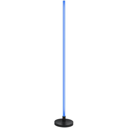 Grundig - LED RGB dimējama stāvlampa LED/5W/5V + tālvadības pulti
