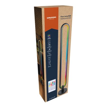 Grundig - dimējama RGB LED grīdas lampa LED/8W/5V + tālvadības pults