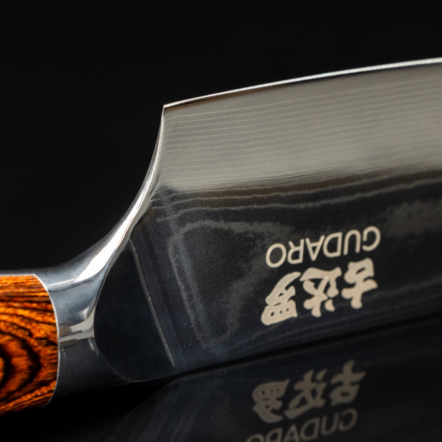 Gudaro - Damaskas šefpavāra nazis FENG 8, 67 slāņu tērauds, asmens garums 20 cm