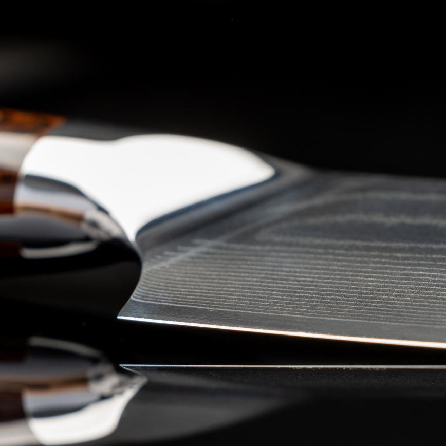 Gudaro - Damaskas šefpavāra nazis FENG 8, 67 slāņu tērauds, asmens garums 20 cm