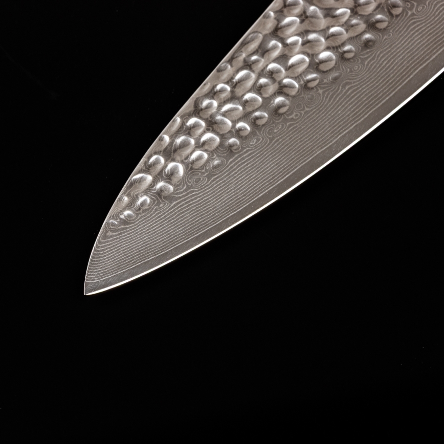 Gudaro - Damaskas šefpavāra nazis MIYABI 8, 67 slāņu tērauda, asmens garums 20 cm