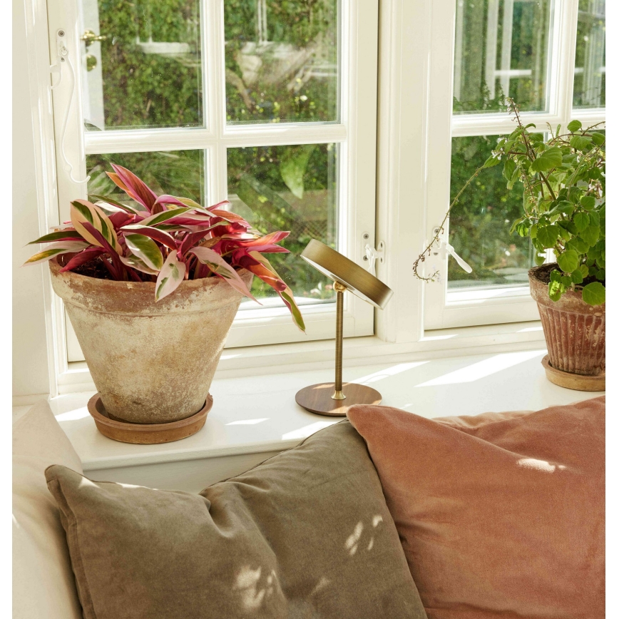 Halo Design 745784 - uzlādējama LED galda lampa ar regulējamu spilgtumu ON THE MOVE LED/2,5W/4000 mAh misiņš/koks