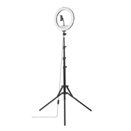 Hama - LED Aptumšojama apaļa lampa ar statīvu LED/10W/5V d. 30 cm + tālvadības pults