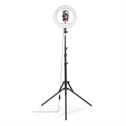 Hama - LED Aptumšojama apaļa lampa ar statīvu LED/10W/5V d. 30 cm + tālvadības pults