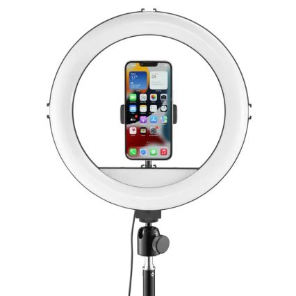 Hama - LED Aptumšojama apaļa lampa ar statīvu LED/10W/5V d. 30 cm + tālvadības pults
