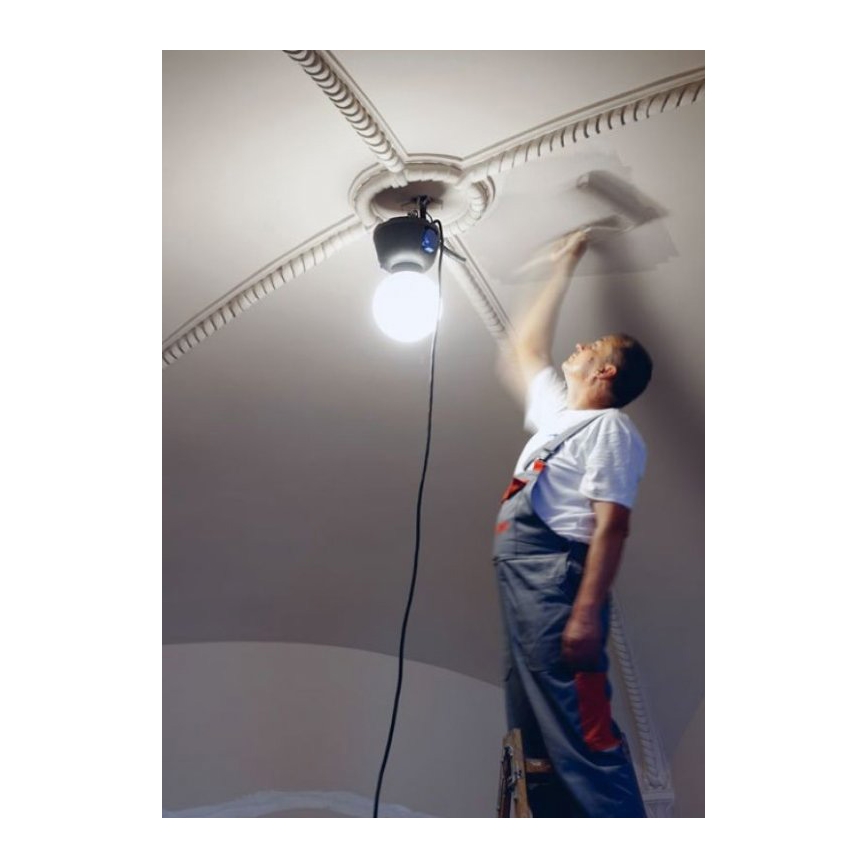 Helios 306-WLG223 - LED Āra Apgaismojums WORK GLOBE 2 LED/23W/230V IP44
