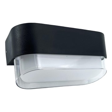 HÖFFTECH - LED āra sienas gaismeklis LED/4W/230V IP65